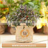 Hydroponic Plant Jute Fabric Eco-friendly Grow Bags thumbnail-2