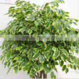 200cm Artificial Bonsai Ficus Tree,fake Banyan Bonsai Tree for Sale thumbnail-6