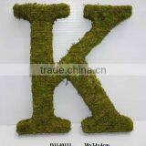 Moss Letters for Decoration thumbnail-1