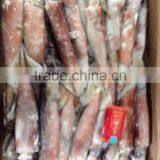 Frozen Todarodes Pacificus Squid thumbnail-1