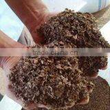 Chopped Sargassum Seaweed thumbnail-2