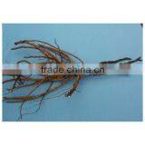 Shan Hu Tai 3 Years Old 3 BranchesTree Peony Plant Root thumbnail-3