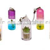 Mini Plant and Baby Plant thumbnail-1