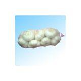 Sell Garlic thumbnail-1