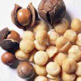 Macadamia Nuts thumbnail-1