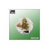 Solar Garden Step Lamp