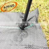 Factory Supply Plastic Ground Cover Weed Control Mat for Agricultural thumbnail-4