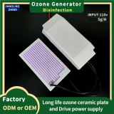 110V/240V Ozone Disinfection 5g Domestic or Commercial Air Purification Machine Ozone Ceramic Plate Small Ozone Generator thumbnail-3