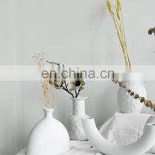 Новый креативный белый гидропонный ваз для свадебного декора, геометрический декоративный художественный керамический ваз для украшения дома thumbnail-2