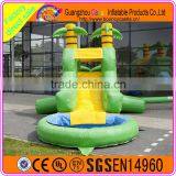 Green Water Slide With Pool for Kids Hot Sales High Quality