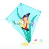 Small Printed Kite