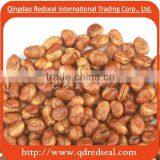 Salted Fried Horse Beans
