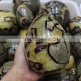 Natural Rock Dragon Septarian Gemstone Eggs