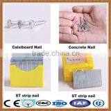 Common Roofing Steel Nail thumbnail-4