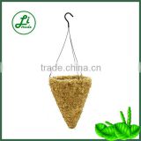 16" Sphagnum moss cone hanging basket