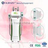 Multi Tech 3 In 1 Cavitation Multipolar Radiofrecuency Crolipolysis Machine thumbnail-1