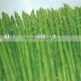iqf green asparagus
