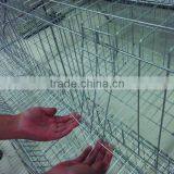 3 Tier Or 4 Layer Chicken Cages/Egg Laying Hen Cage/Battery Cage thumbnail-5
