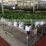 Qingdao Garden Bed for Flower thumbnail-3