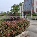 2014 New Green Tyre To Oil Pyrolysis Refining Plant With Auto-feeding System thumbnail-3