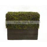 SJ0411013 Garden Decoration Artificial Plastic Milan Boxwood Hedge thumbnail-2
