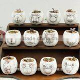 Mini White Zodiac Animal Decorative Succulent Ceramic Flower Pots thumbnail-1