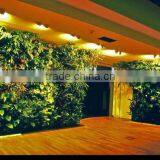 Home and Outdoor Decoration Synthetic Cheap Artificial Vertical Green Grass Wall E08 0417 thumbnail-6