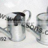 Watering Canes, Stylish Design Watering Canes thumbnail-5