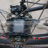 2016 Best Seller Electric Bike Big Power 48V 750W Electric Fat Bicycle thumbnail-5