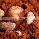 Alkalized Cocoa Powder thumbnail-4
