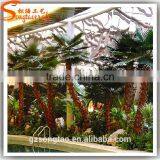 Preserved and Replica Trees Plam Data Tree thumbnail-5