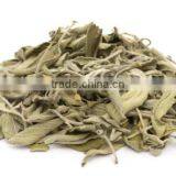 Supplier of Sage Leaves Dry thumbnail-1
