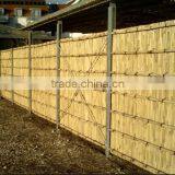 Tonkin Bamboo Fence Tonkin Cane Fence Bamboo Screen thumbnail-5