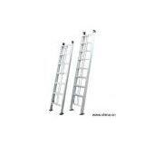 Sell Supported Profiles for Lifting Ladders thumbnail-1