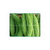 100% High Quality Balsam Pear Extract/balsam Pear Extract Powder/Balsam Pear Powder thumbnail-2