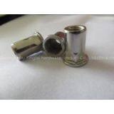 Stainless Steel Flat Head Half Hexagon Rivet Nut