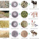 Model KL260B Flat Die Pellet Machine Pellet Mill For Sale thumbnail-5