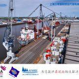 Shanghai to Buatan Shipping Forwarder Indonesia Ocean Freight Logistics thumbnail-2