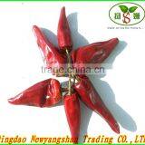 YIDU Chili Powder/Cayenne Pepper Exporters thumbnail-4