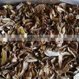 Dried Boletus Edulis