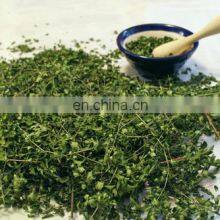 Organic Moringa Pellets Green/100% Pure Organic Moringa Leaf/Good Choice Dried Moringa Leaf For Tea Made in Vietnam thumbnail-5