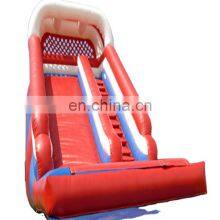 Best Selling Commercial Large Inflatable Water Slides for Sale / Large Inflatable Dry Slide