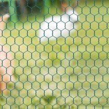 Bird Screen Netting Chicken Wire Mesh Welded Wire Mesh Galvanized Wire Mesh Custom Malla Pvc Coated Plastic Hexagonal Iron Wire Mesh thumbnail-2