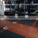 Lanxi VIS Sports Company Limited company overview - view 2 thumbnail