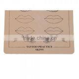 Permanent Makeup Eyebrow Lips Picture Tattoo Simulation Practice Skin Beige For Beginners P002 thumbnail-5