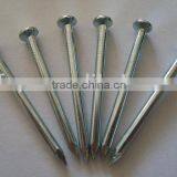 Galvanized Concrete Nail With Flat Head