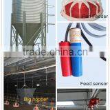 Automatic Poultry Farm Feeding Equipment