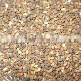 Brown Natural Sesame Seeds thumbnail-1