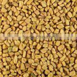 Fenugreek