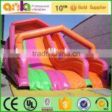 Giant Rainbow Inflatable Water Slide for Kids and Adults Supplier's Choice thumbnail-1
